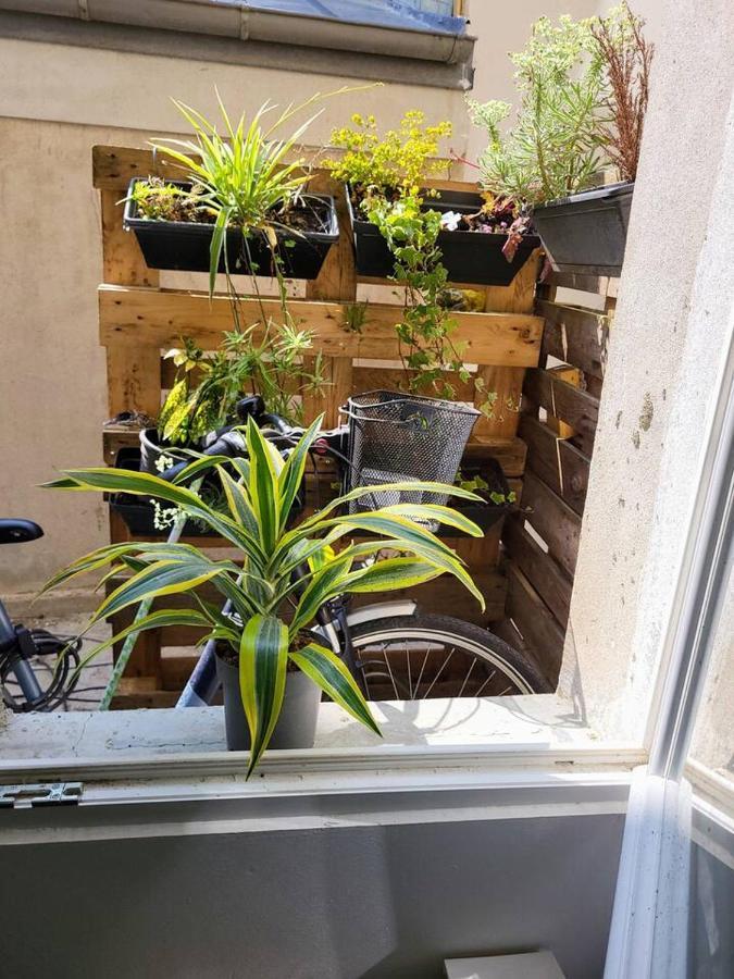 Cosy Appartement Hyper Centre-Ville Quimper Kültér fotó